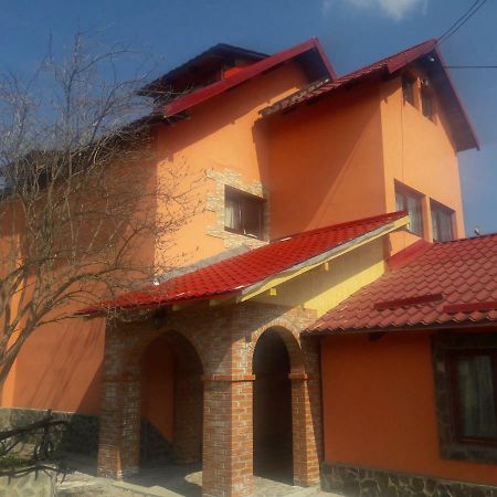 Hotel Casa DAOS Nucşoara Exterior foto